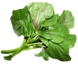 Amaranth Leaves Image