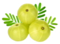 Amla Image