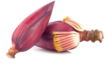 Banana Flower Image