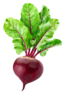 Beetroot Image