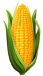 Corn Image