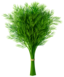 Dill Leaves Image