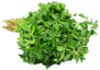Fenugreek Leaves Image