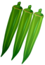 Ladies Finger Image