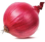 Onion Small Image