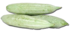 Snake Gourd Image